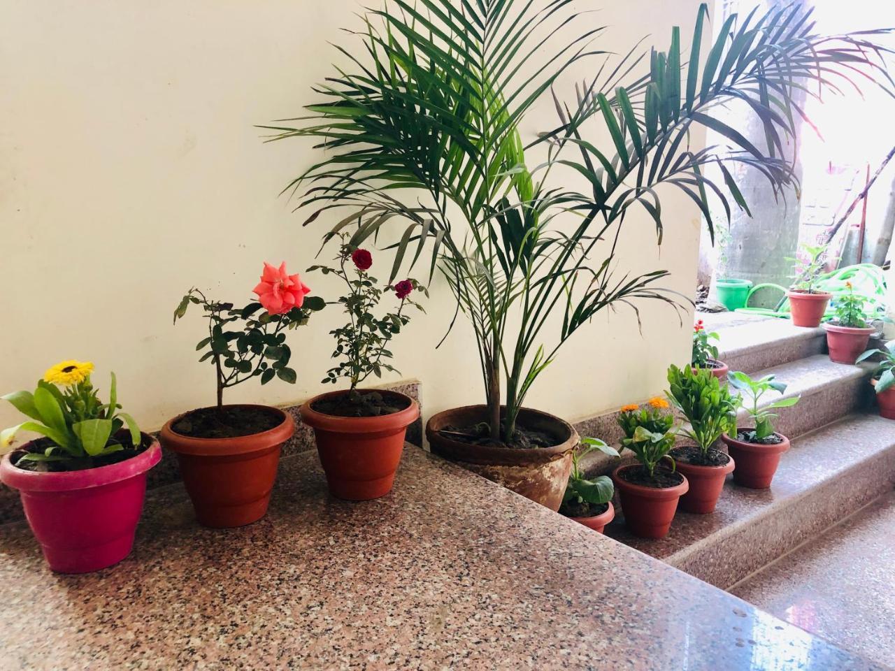 Gangotri Paying Guest House Waranasi Zewnętrze zdjęcie