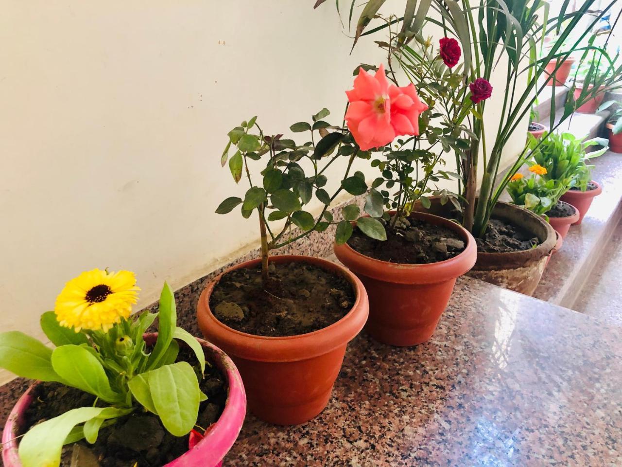 Gangotri Paying Guest House Waranasi Zewnętrze zdjęcie